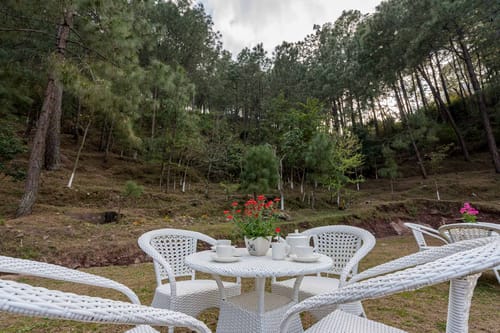 Hues @ The Mansion – 6 bedroom villa in Kasauli, Himachal Pradesh