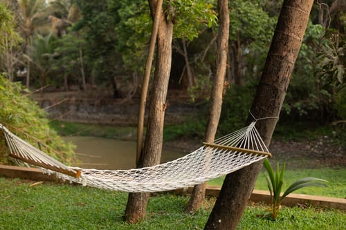 Villa Selene - Dolly J Homes – 5 bedroom villa in North Goa, Goa