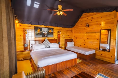 The Barbet - Treehouse