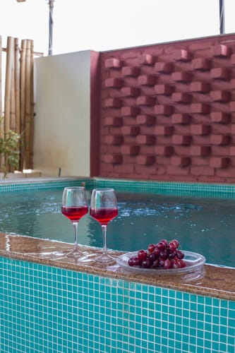 Ikigai – 2 bedroom villa in Udaipur, Rajasthan