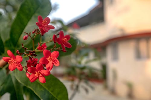 Cove Cottage – 3 bedroom villa in Lonavala, Maharashtra