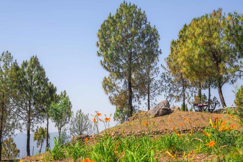 4 Rooms @ Estate 15 – 4 bedroom villa in Bhimtal, Uttarakhand
