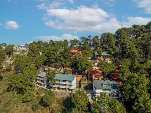 Golden Meadow Villa | Pet-friendly Hillside 3-BHK Retreat With Outdoor Lounge, Balcony & Scenic Views – 3 bedroom villa in Kasauli, Himachal Pradesh
