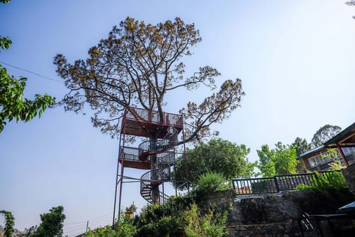 4 Rooms @ Estate 15 – 4 bedroom villa in Bhimtal, Uttarakhand