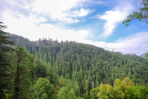 2 Rooms @ Shimla Manor – 2 bedroom villa in Shimla, Himachal Pradesh