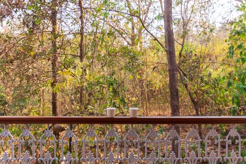 Casa Do Amor – 6 bedroom villa in North Goa, Goa