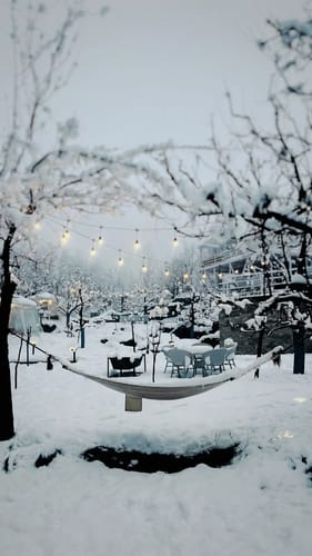 Imperial Glamping Dome 1