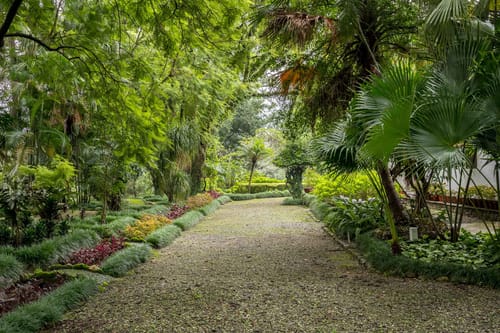 Normandy House – 3 bedroom villa in Dehradun, Uttarakhand