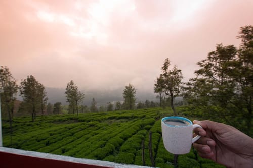 2 Rooms @ Villa Hugel – 2 bedroom villa in Ooty, Tamil Nadu