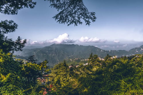 Rose Cottage – 6 bedroom villa in Shimla, Himachal Pradesh