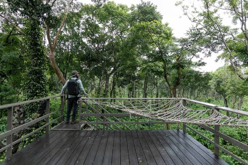 Coffee & Mist – 5 bedroom villa in Coorg, Karnataka