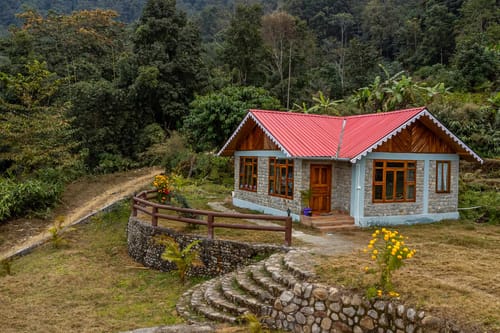 Tulip @ Nature’s Lap