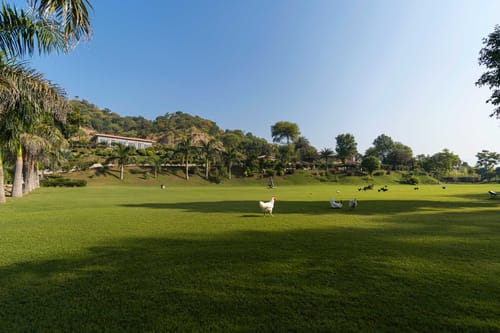 Brickwood Hill W/ Outdoor Pool