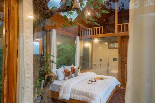 The Sinatra Skylight: Glass treehouse in the mist