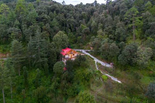 The Orchard Song – 3 bedroom villa in Shimla, Himachal Pradesh