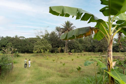 Zen @ Sunnyside Homestay - Denkanikottai