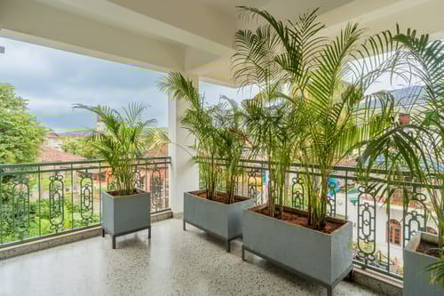 Purple Coral | Luxe 5-BHK Villa With Two Private Pools & Lift Near Chapora Fort