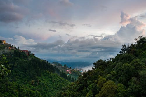 Bliss @ Aspen Heights – 1 bedroom villa in Mussoorie, Uttarakhand