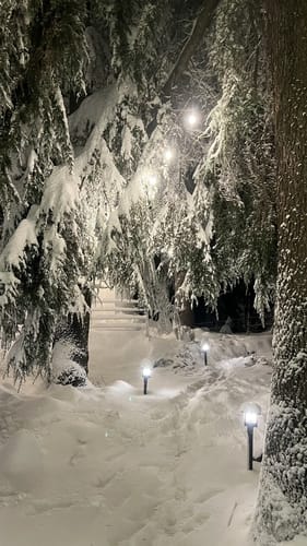 GlampView Luxurious Geodesic Glamp 2