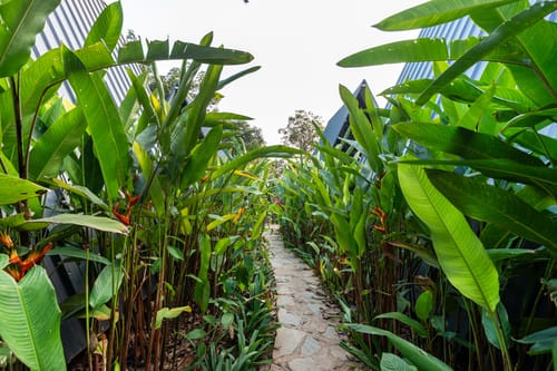 Inara Retreat | Pet-Friendly 1- Cottage with a Mezzanine Loft, Shared Pool, and Garden – 1 bedroom villa in Bengaluru, Karnataka