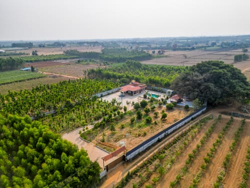 Courtyard Banyan | Rustic 2-BHK Pet-friendly Villa with Pool, Gazebo Amid Banyan Trees | Near Nandi Hills – 2 bedroom villa in Bengaluru, Karnataka