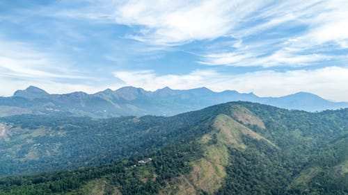 Bloom @ Misty Village