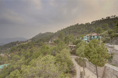 Serene Woods Hotel | 1-Room Escape With Hill Views & In-House Restro – 1 bedroom villa in Kasauli, Himachal Pradesh