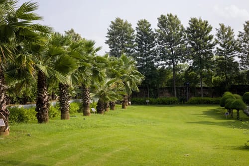 Kaimalgarh Farmstay | Pet–friendly 5-BHK Retreat With Pond, Private Pool, Gazebo & Garden