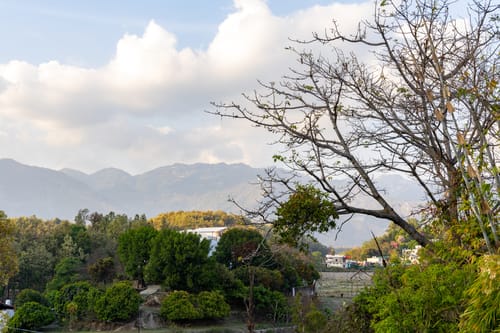 The Kimadi House | 4-BHK English-Style Villa With Rooftop, Pool & Mussoorie Views – 4 bedroom villa in Dehradun, Uttarakhand