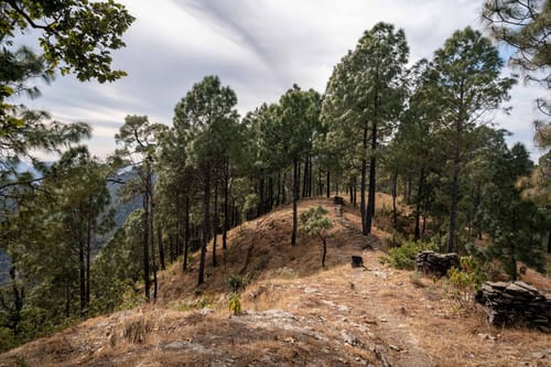 Heather @ Hill Top Heaven – 6 bedroom villa in Lansdowne, Uttarakhand