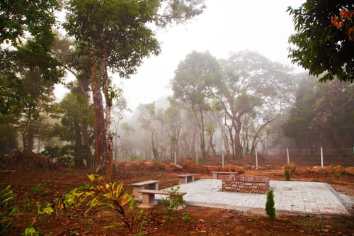 Coffee & Mist – 5 bedroom villa in Coorg, Karnataka