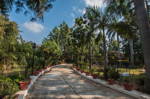 Solitude in the Woods - Sohna – 2 bedroom villa in Delhi-ncr, Haryana
