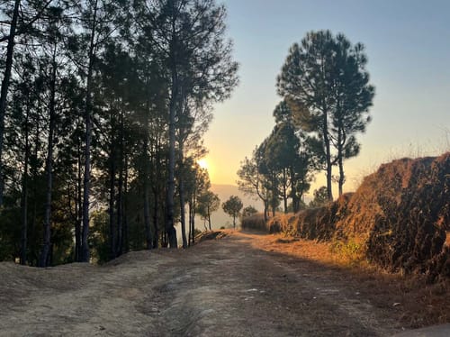 Offgrid Ginai - Ranikhet – 2 bedroom villa in Nainital, Uttarakhand