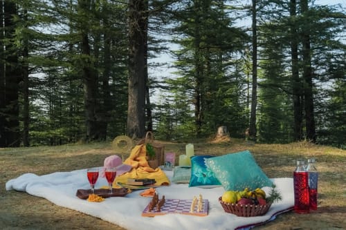 The Ridgeview Retreat Amelia | Hillside 2-Room Suite with Private Balcony, Bathtub & Restro | Near Naldehra Golf Course | Pet-friendly – 2 bedroom villa in Shimla, Himachal Pradesh