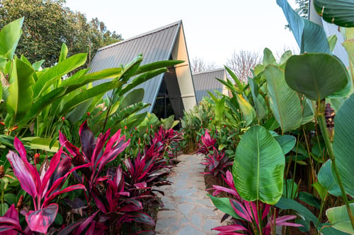 Inara Retreat | Pet-Friendly 1- Cottage with a Mezzanine Loft, Shared Pool, and Garden – 1 bedroom villa in Bengaluru, Karnataka