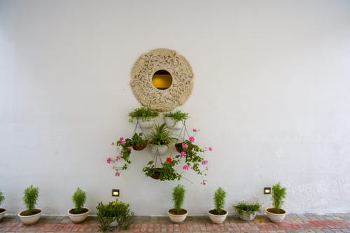 Serenita Abode | Escape With Plunge Pool, Garden & Terrace Near Sahastradhara – 3 bedroom villa in Dehradun, Uttarakhand