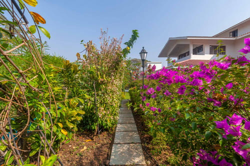 Boho Banyan – 3 bedroom villa in Alibaug, Maharashtra