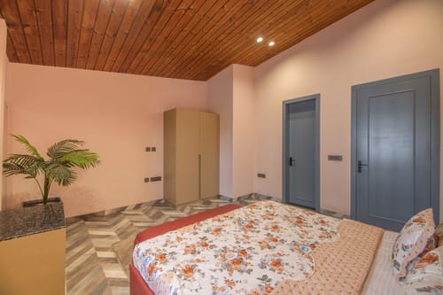 Palm Tree Breeze – 3 bedroom villa in Jaipur, Rajasthan