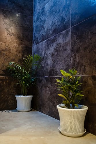 GlampView Luxurious Geodesic Glamp 2