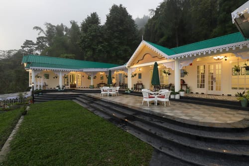 Feathers @ Forktail House