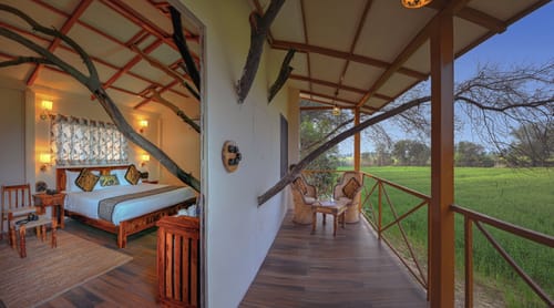 Bagh Serai | Tree-House on 5-Acre Forested Land With Common Pool, Restro & Views