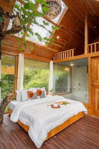 The Sinatra Skylight: Glass treehouse in the mist