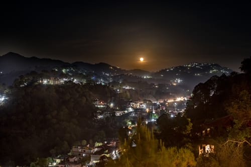Fern @ Pristine Pines – 2 bedroom villa in Kasauli, Himachal Pradesh