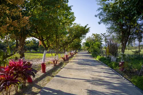 Farm Naturelle | Pet-friendly 3-BHK Farmhouse Near Jim Corbett With Garden, Terrace & Orchards 