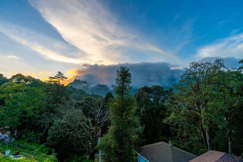 Aloe Villa – 3 bedroom villa in Nainital, Uttarakhand