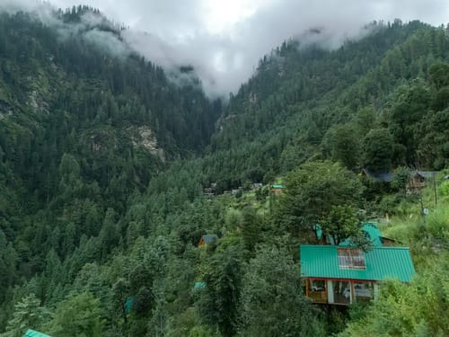 The Sinatra Skylight: Glass treehouse in the mist