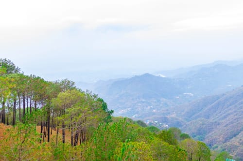 Archee’s Villa | 6-BHK property with gaming zone, attic, open dining and 360° mountain views – 6 bedroom villa in Kasauli, Himachal Pradesh