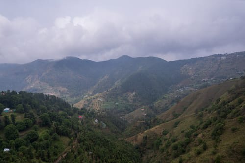 The Mohru Estate - Chail w/ Heated Pool