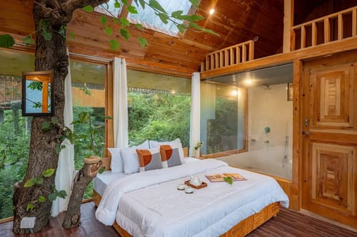 The Sinatra Skylight: Glass treehouse in the mist