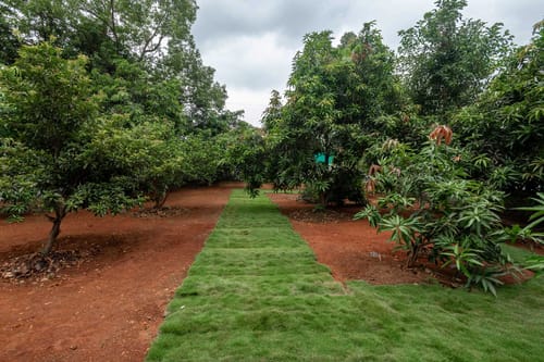 Grey Hues – 8 bedroom villa in Karjat, Maharashtra